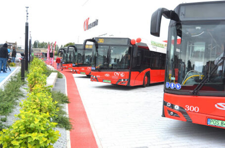 Wraca wakacyjny rozkład jazdy autobusów