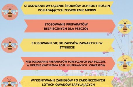 CHROŃMY PSZCZOŁY! KOMUNIKAT WOJEWÓDZKIEGO INSPEKTORA OCHRONY ROŚLIN I NASIENNICTWA W POZNANIU