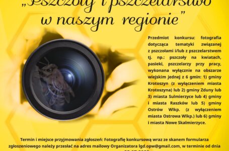 Konkurs fotograficzny