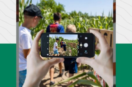 Konkurs fotograficzny „Wakacje w Gminie Ostrów Wielkopolski”  