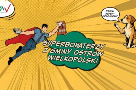 Superbohaterzy z Gminy Ostrów Wielkopolski