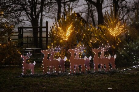 Bajkowe klimaty w Kwiatkowie